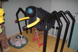 Spinne für den Zauberer von Oz 2010